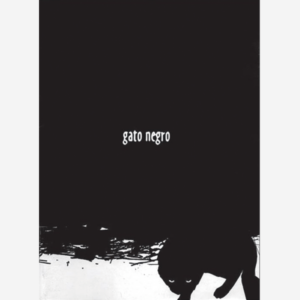 Gato negro