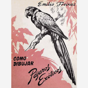 Como dibujar pájaros exóticos