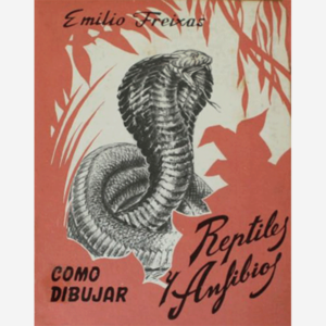 Como dibujar reptiles y anfibios