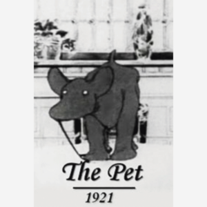 Dreams of the Rarebit Fiend: The Pet