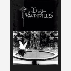 Dreams of the Rarebit Fiend: Bug Vaudeville