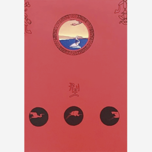 Kárate espejo silencioso