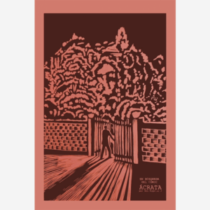 En búsqueda del cómic ácrata