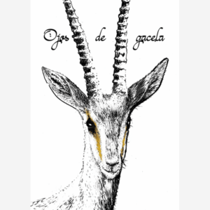 Ojos de gacela